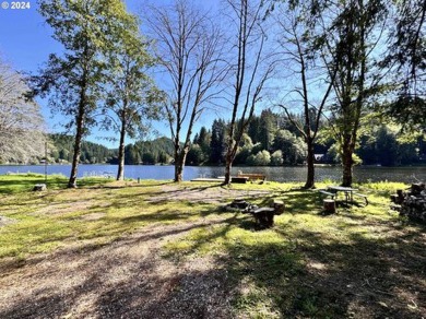 Fishhawk Lake Lot For Sale in Birkenfeld Oregon