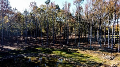 (private lake, pond, coastal) Acreage For Sale in Mineral Springs North Carolina