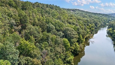 Lake Dardanelle Commercial For Sale in Dover Arkansas