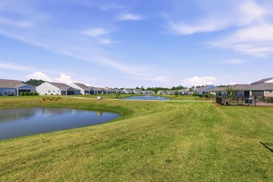 Welcome to 357 Dahlia Row in Del Webb Charleston at Nexton - - photo 25