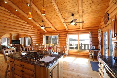 Lake Vermilion Log Home: Rare South Facing 3+BR, 3 BA, Like New - photo 4