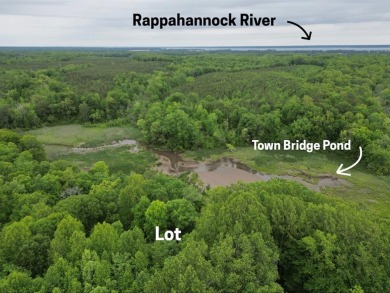 (private lake, pond, creek) Lot Sale Pending in Jamaica Virginia