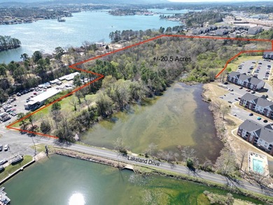 This 20.32-acre property, consisting of two combined tracts - photo 4