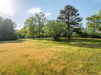 This 20.32-acre property, consisting of two combined tracts - photo 8
