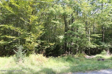 North Arrowhead Lakes Lot For Sale in Pocono Lake Pennsylvania