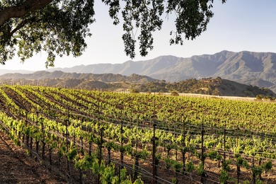 The crown jewel of the Santa Ynez Valley, and arguably one of - photo 38