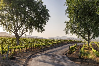 The crown jewel of the Santa Ynez Valley, and arguably one of - photo 39