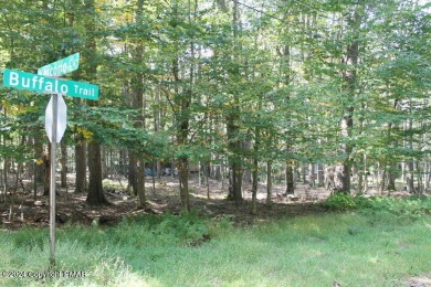 Lake Lot For Sale in Pocono Lake, Pennsylvania