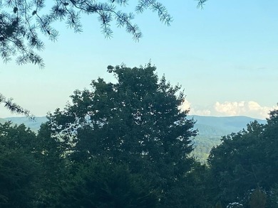 (private lake, pond, coastal) Lot For Sale in Ellijay Georgia