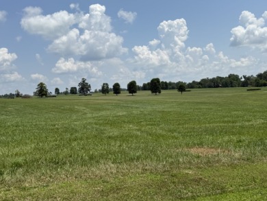 Large Residential Lots in a Lakeside Subdivision - photo 4