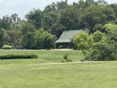 Large Residential Lots in a Lakeside Subdivision - photo 7