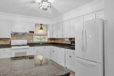 Welcome to Packanack Lake, where lifestyle meets location! This - photo 13