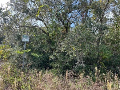 (private lake, pond, creek) Lot For Sale in New Port Richey Florida
