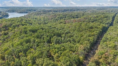 Nearly 80 acres of Lake of the Ozarks land in Gravois Mills, MO - photo 6