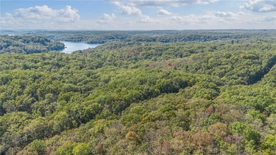 Nearly 80 acres of Lake of the Ozarks land in Gravois Mills, MO - photo 8
