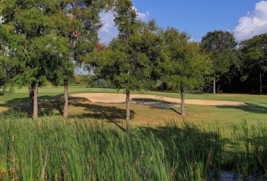 Bring your horses! 2 plated, treed lots in the equestrian area - photo 28