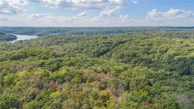 Nearly 80 acres of Lake of the Ozarks land in Gravois Mills, MO - photo 9