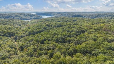 Nearly 80 acres of Lake of the Ozarks land in Gravois Mills, MO - photo 10