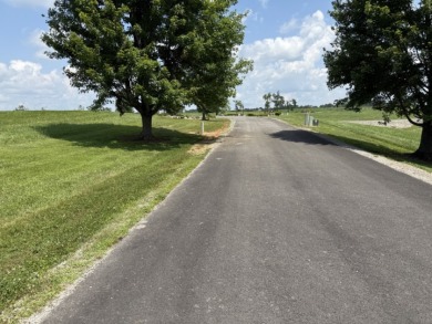 Large Residential Lots in a Lakeside Subdivision - photo 10