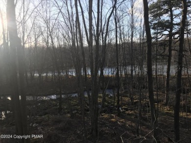 (private lake, pond, creek) Lot For Sale in Albrightsville Pennsylvania