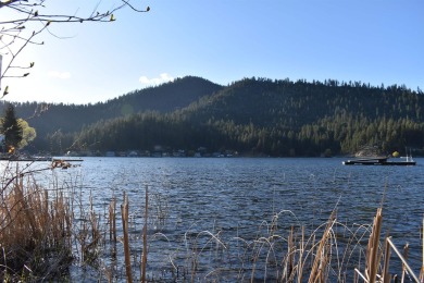 Lake Lot For Sale in Loon Lake, Washington