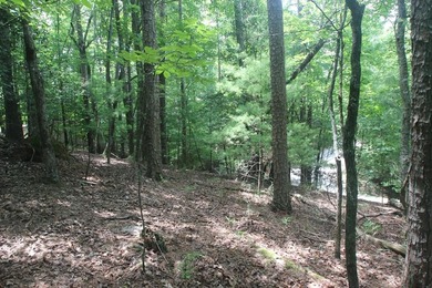 Coosawattee River - Gilmer County Lot For Sale in Ellijay Georgia