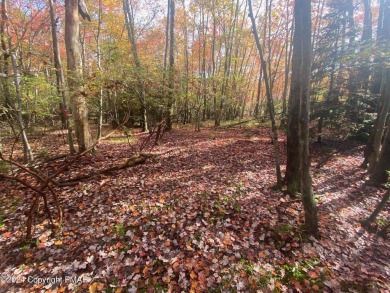 Lake Lot For Sale in Albrightsville, Pennsylvania