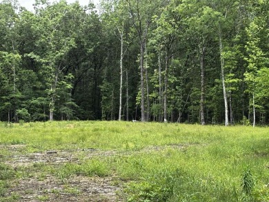 Lake Acreage For Sale in Atkins, Arkansas