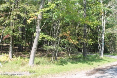 Arrowhead Lake Lot For Sale in Pocono Lake Pennsylvania