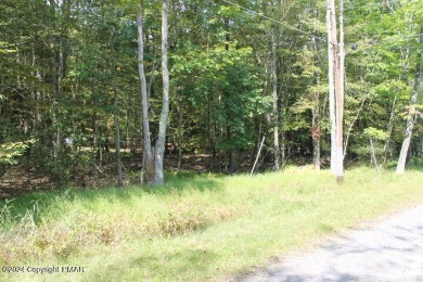 Lake Lot For Sale in Pocono Lake, Pennsylvania