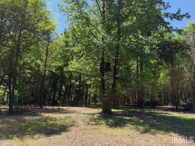 Peaceful 3-acre parcel in a beautiful park like setting primed - photo 2
