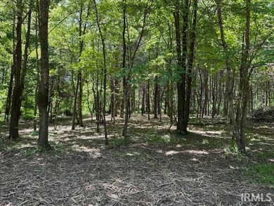Peaceful 3-acre parcel in a beautiful park like setting primed - photo 3