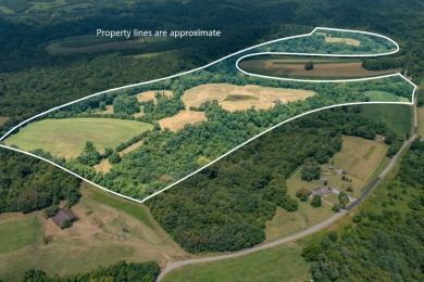 Lake Acreage For Sale in Ewing, Kentucky