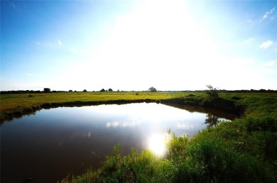 Lake Acreage For Sale in Pottsboro, Texas