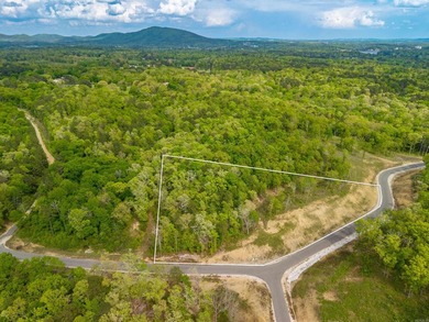 Exceptional 2.9 acre homesite in Rocky Point Estates, a new - photo 2