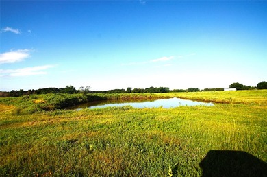(NEW REDUCTION IN PRICE)...(OWNER FINANCING AVALABLE)...FOR - photo 4