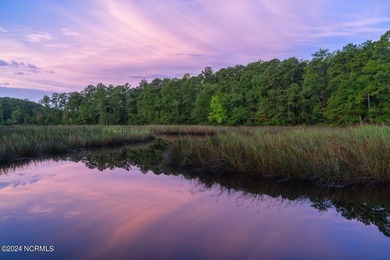 LAKEFRONT HOMESITE! Elevated homesite in a riverfront - photo 47