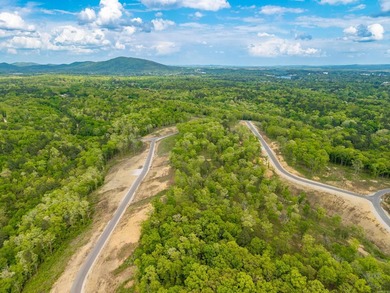 Exceptional 2.9 acre homesite in Rocky Point Estates, a new - photo 9