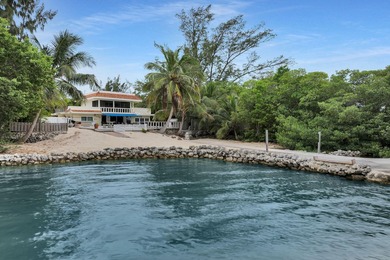Two homes on open water for the price of one! Over 18,000 square - photo 7