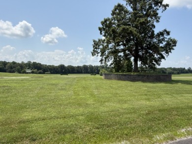 Large Residential Lots in a Lakeside Subdivision - photo 17