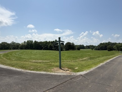 Large Residential Lots in a Lakeside Subdivision - photo 3