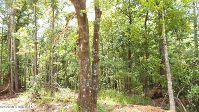 Yalobusha County 70.758 Acres of Open and Wooded land with a - photo 12