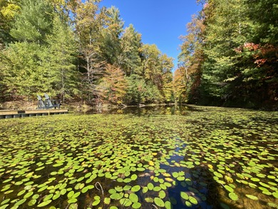 PRICE REDUCED! WOW! Where do you even begin? This is one of the - photo 13