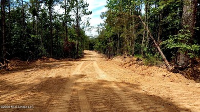 Yalobusha County 70.758 Acres of Open and Wooded land with a - photo 13
