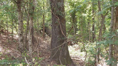 Yalobusha County 70.758 Acres of Open and Wooded land with a - photo 14