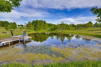 Prime Celina Property - Rare opportunity to own improved acreage - photo 14