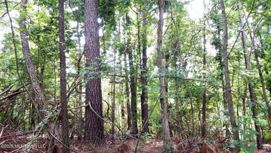 Yalobusha County 70.758 Acres of Open and Wooded land with a - photo 15