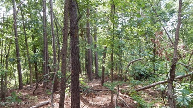 Yalobusha County 70.758 Acres of Open and Wooded land with a - photo 16