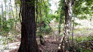 Yalobusha County 70.758 Acres of Open and Wooded land with a - photo 17