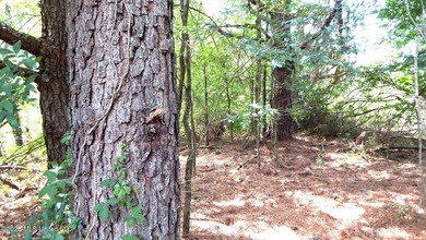 Yalobusha County 70.758 Acres of Open and Wooded land with a - photo 18